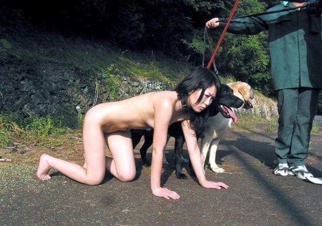 Japanese Pet Girl Porn - Dogs and pet girls in Japan â€“ Exquisite Slave