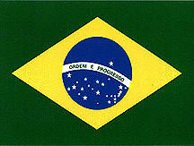 BRAZIL-flag